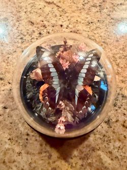 Fake Butterfly in a Globe Decoration Decor