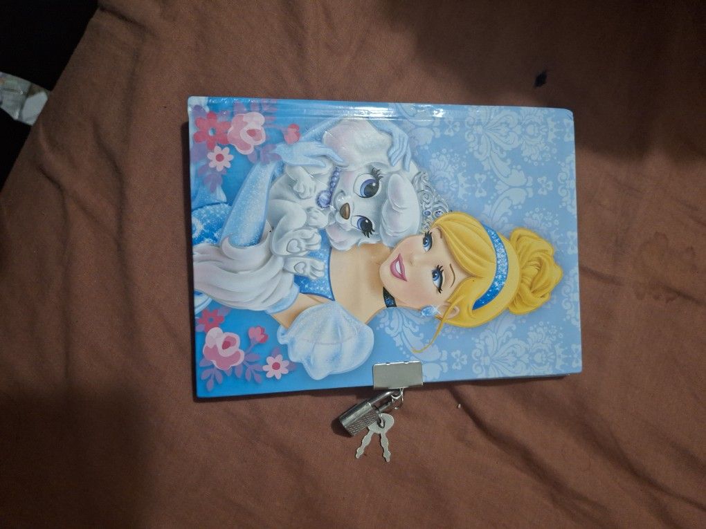 Cinderella Diary