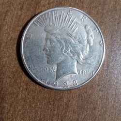 Silver Coin