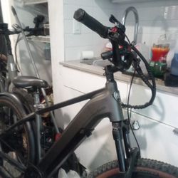 Ride 1 Up      Only 200 