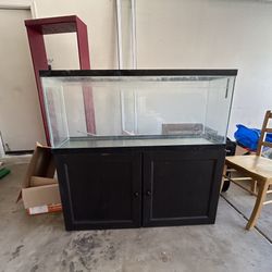 Fish Tank