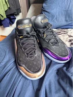 LeBron 23 size 12