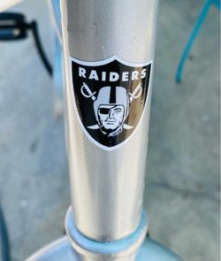 Beach cruiser raider nation
