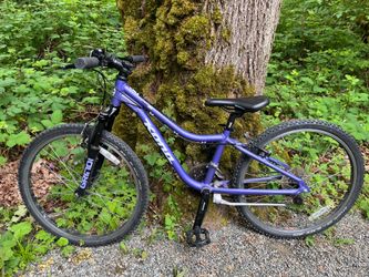 Kona Hula Bike