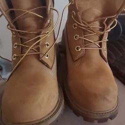 Timberlands 