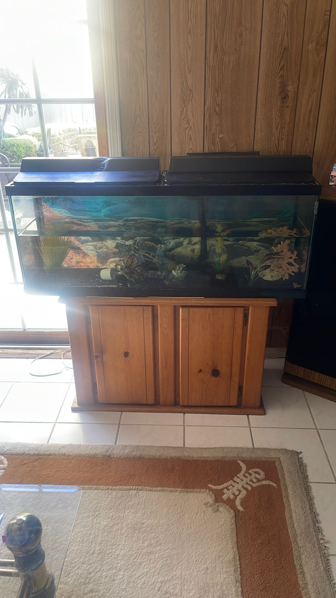 40 Gallon Fish Tank