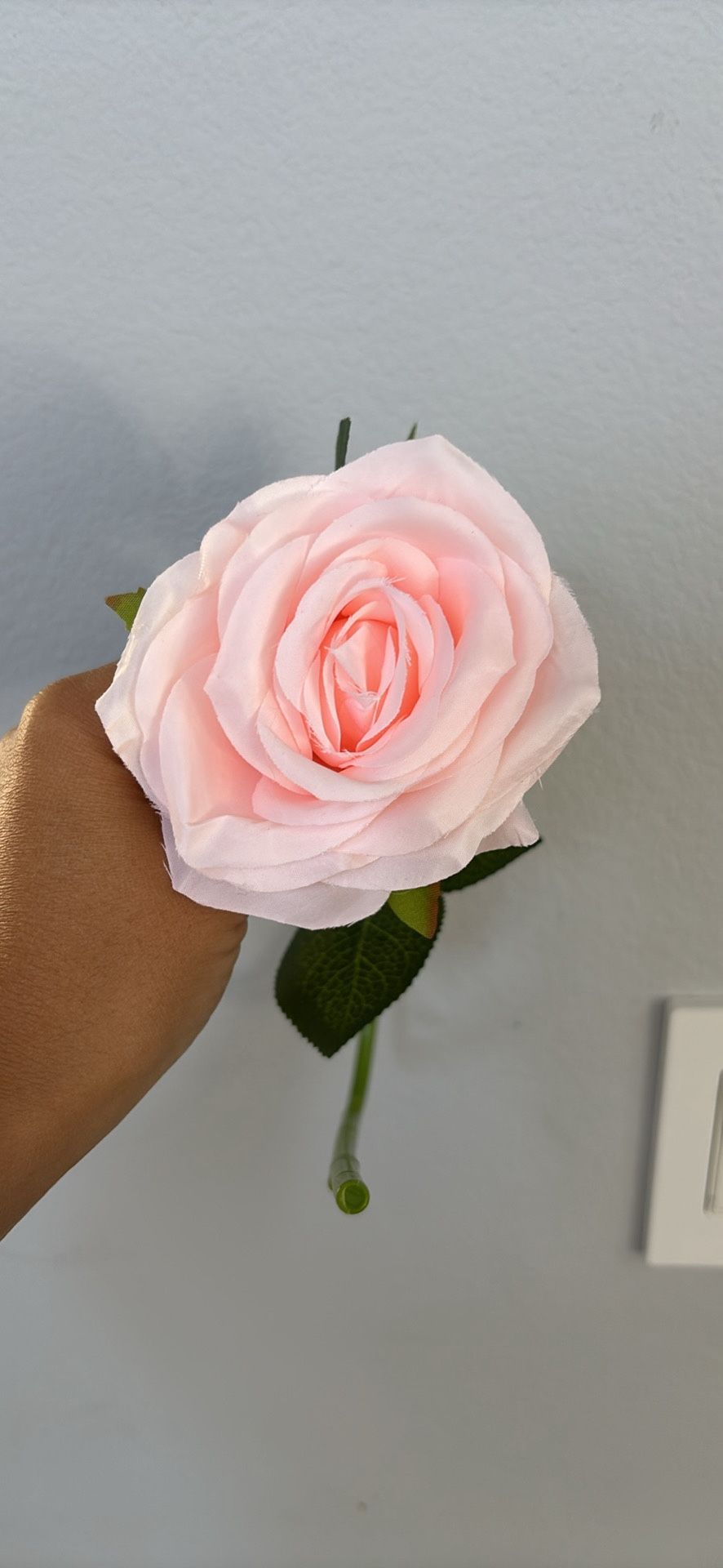 Silk Roses