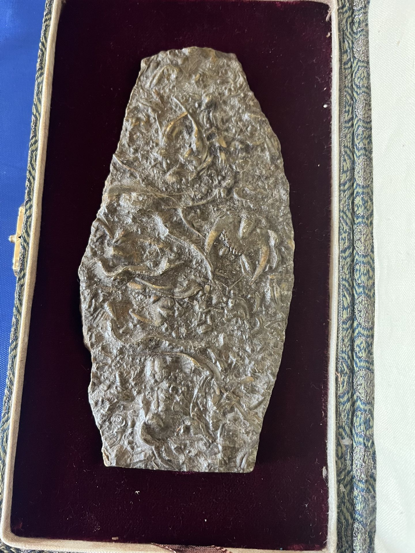Cambrian trilobite fossil  main image 3