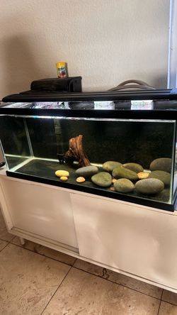 20 gallon Fish Tank aquarium
