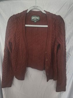 American Eagle Cardigan Sweater