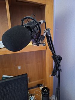 Professional Microphone With Arm Stand