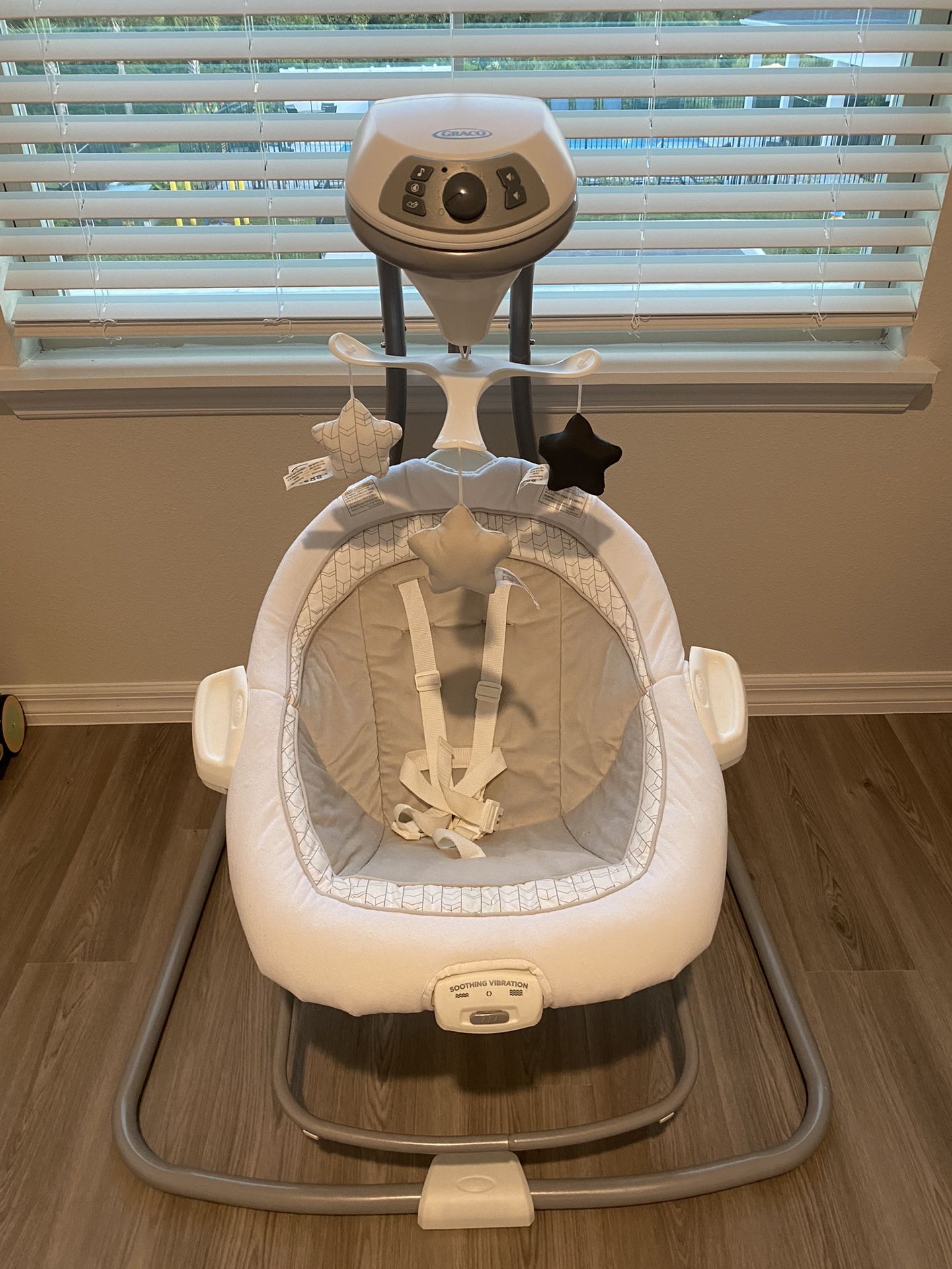 Graco Swing and Bouncer 