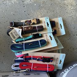 Dog Collars, Leashes, Harness 