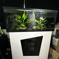 50 Gallons Fish Tank