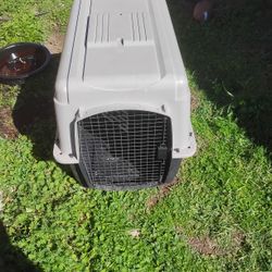 Dog Kennel 
