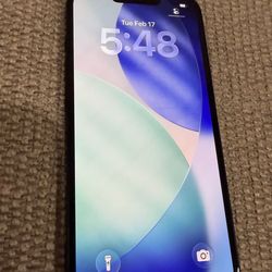 Iphone 12  in great shape