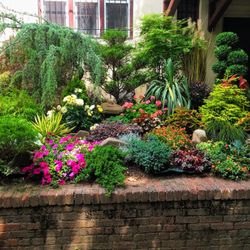 Landscaping Plants And designs DMV