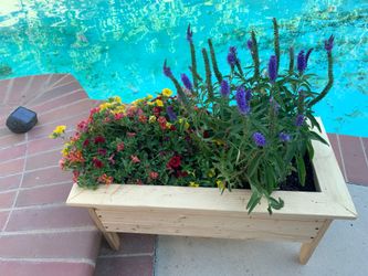 Handmade plants stand serious inquires no bargain