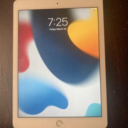iPad Air 2nd Gen 16 gb Wifi Only