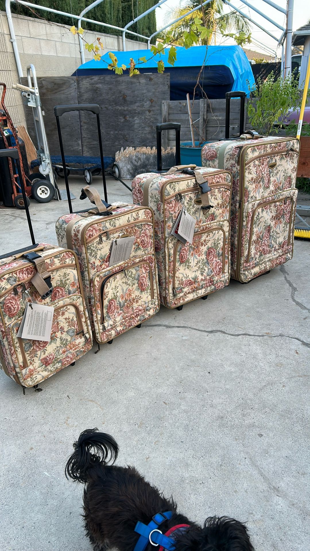 Travel Select 4 Piece Luggage Set