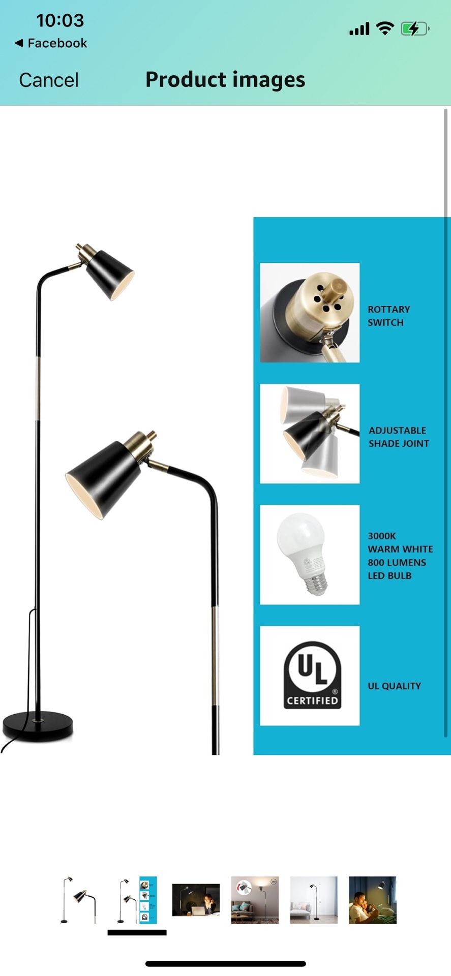 Black Floor Lamp with Adjustable Shader