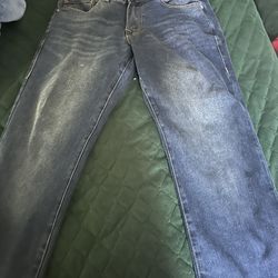 True Religon Pants