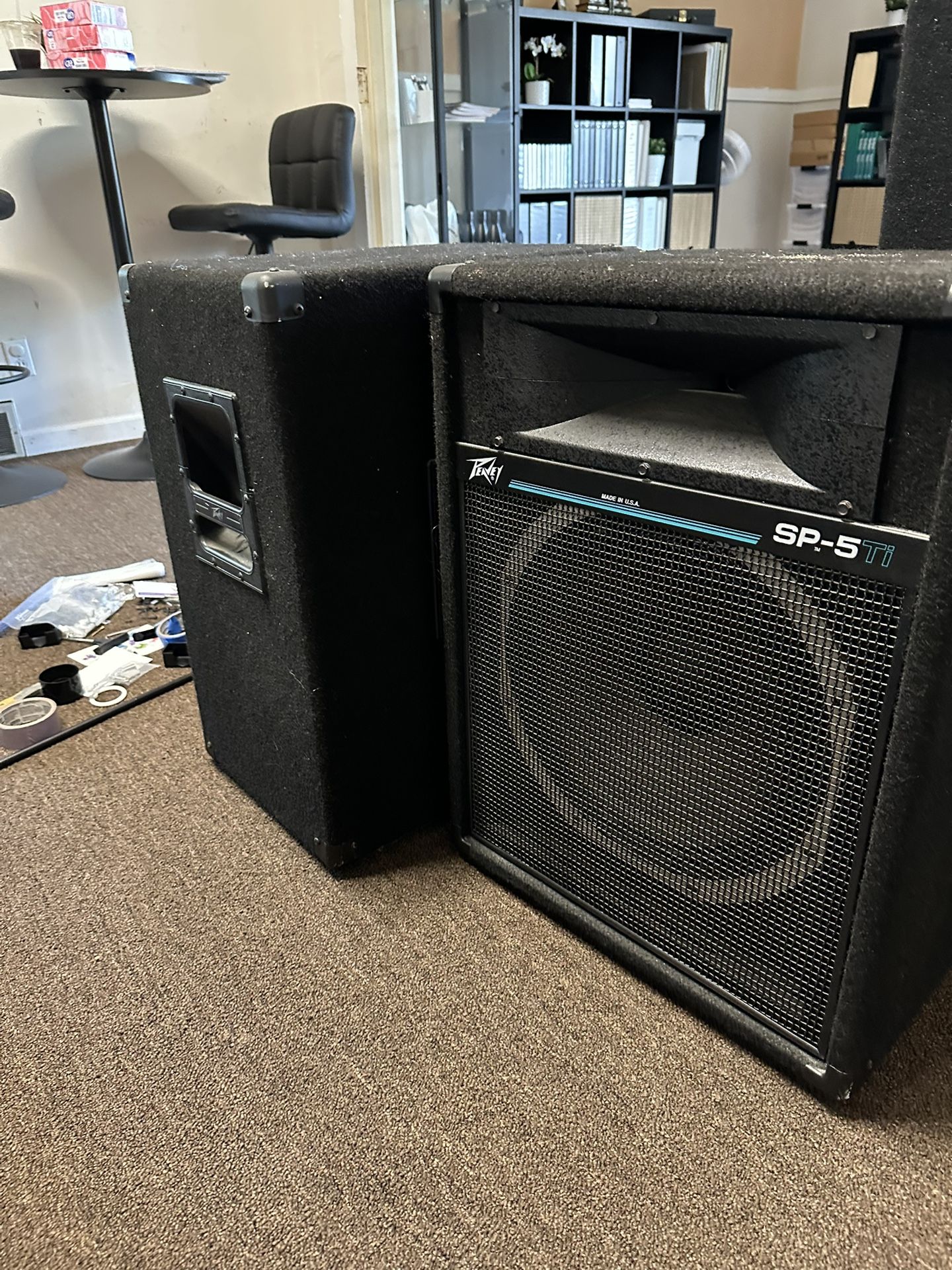 (2) Peavey Speakers