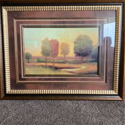 Framed Picture