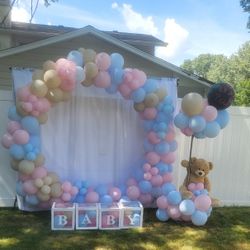 Gender Reveal 
