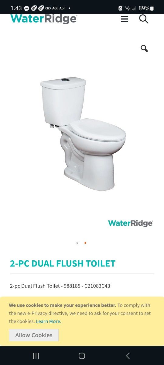 Water Ridge 2 PC DUAL FLUSH TOILET $100