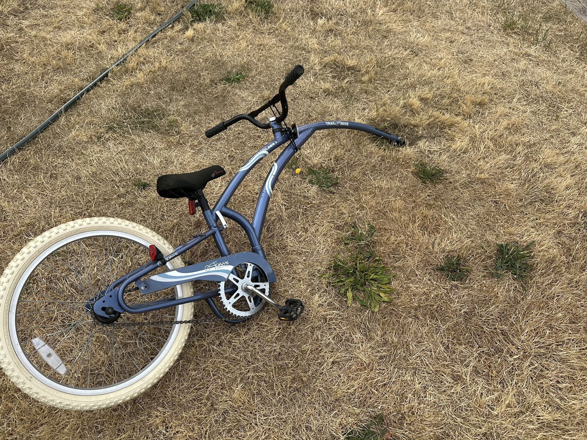 Ride Along Bike