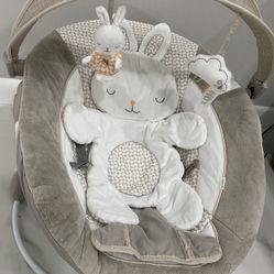 Baby Bouncer