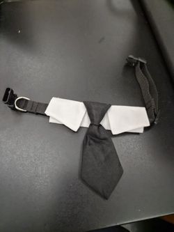 Dog Necktie And Collar (Small)