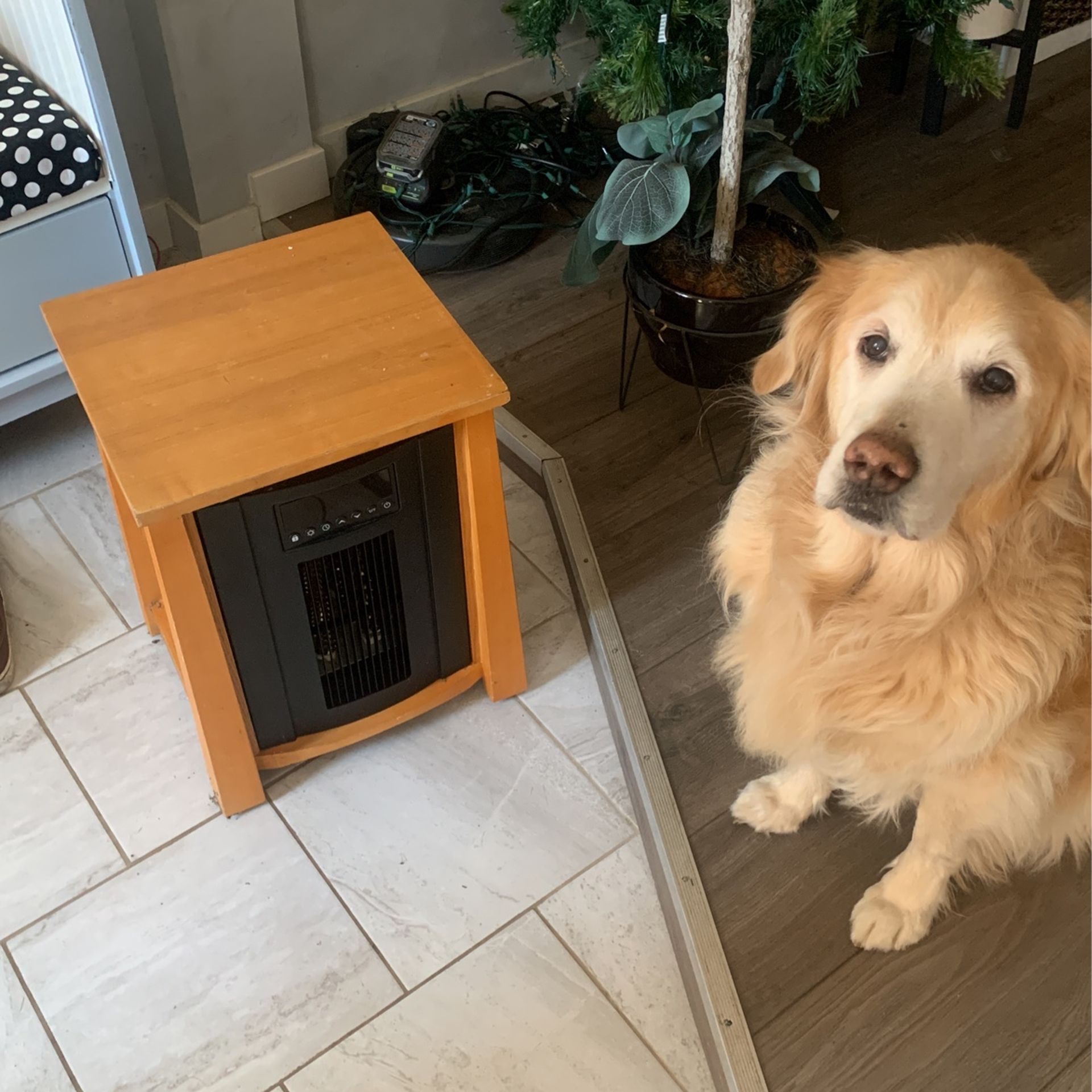 Very Nice Wooden Space Heater