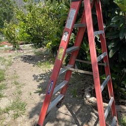 Fiberglass Ladder 6 Ft & 8 ft