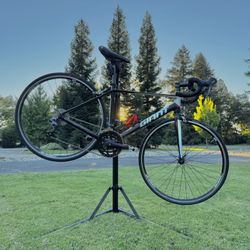 giant road bike 