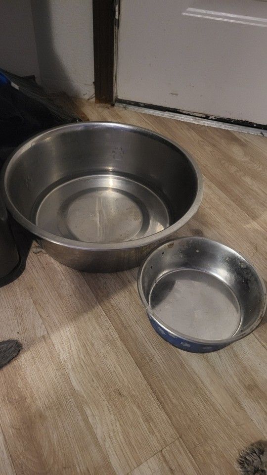 Dog Bowls