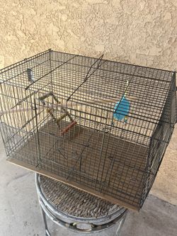 Sm Bird Cage