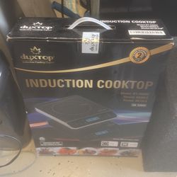 induction stove