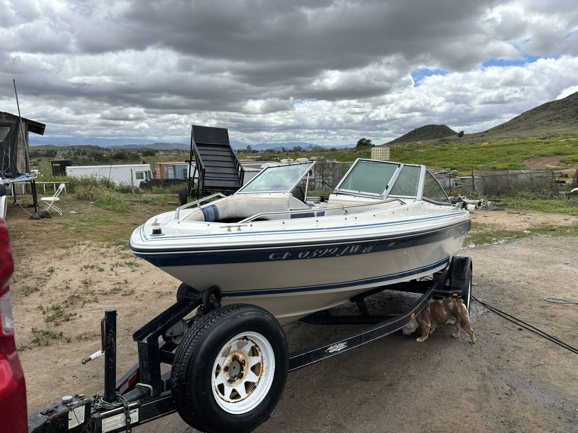 1989 SeaRay Boat & Trailer