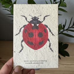 Ladybug Greeting Card, Plantable Seed Card | Wildflower & Herb Eco-Friendly Greeting Card | Recycled Paper Gift for Garden Lovers
