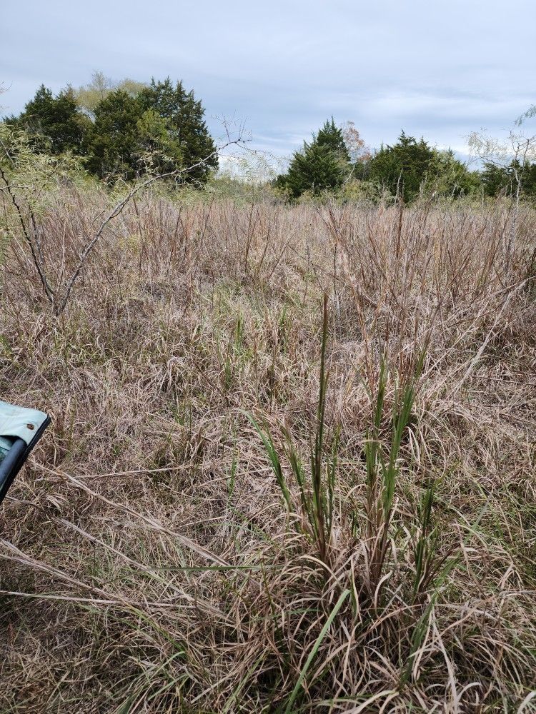 12ac Track Wartham Tx