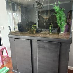 110 Gallon Aquarium