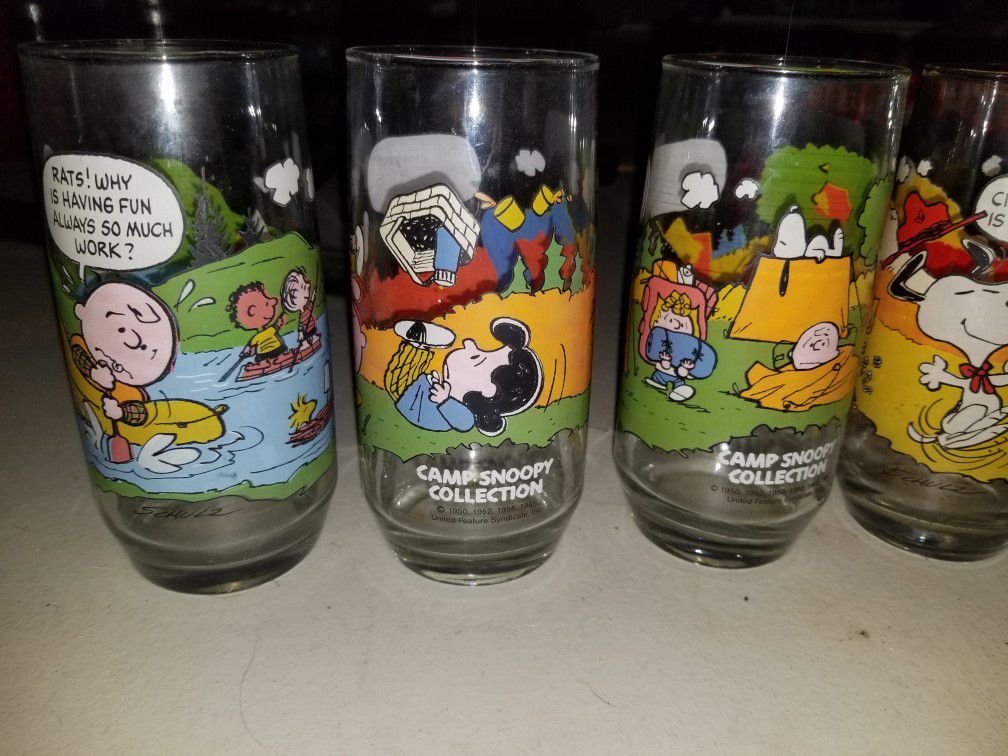 Snoopy. Camp Snoopy Glasses. Chandler 