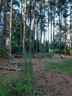 Land with Road Access.