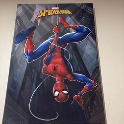 Spiderman frame