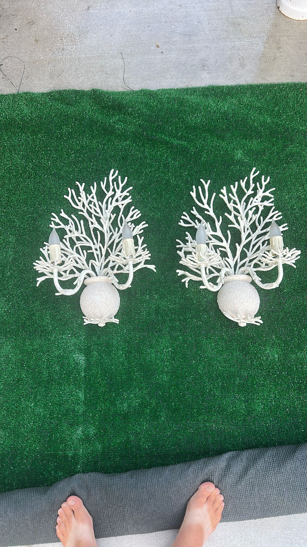 Coral Wall Sconce