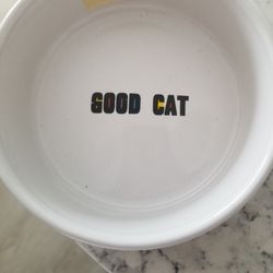 Cat Food Dish