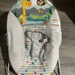 Vibrating Baby Bouncer