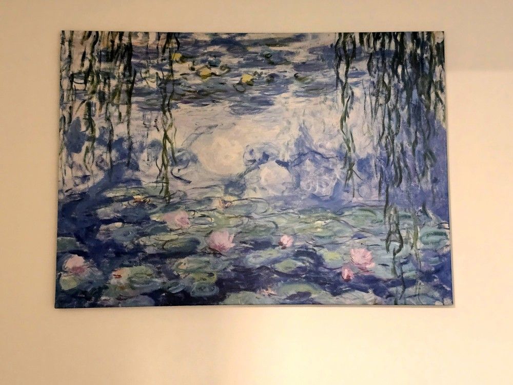 Monet's Water Lillies